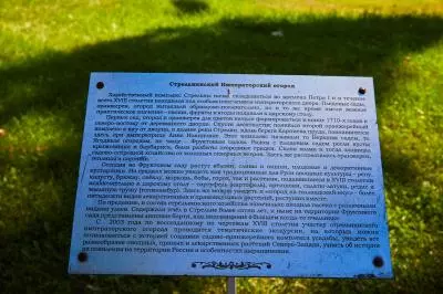 Молебен
