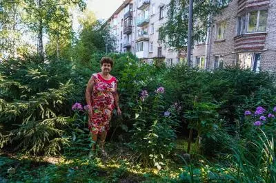 Ёлочки в палисаднике Нины Константиновны Федосеевой