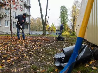 Субботник в Стрельне