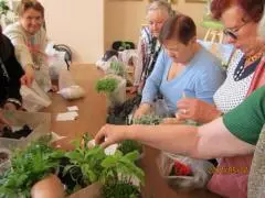 Лекция "Во саду ли в огороде"