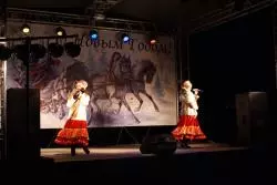 Новый год 2014