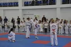 Турнир по спортивно-боевым единоборствам