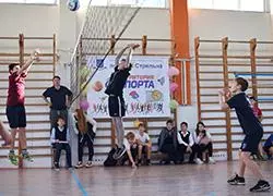 Новые победы 421 школы