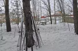 Прокладка лыжни