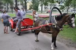 Народные гулянья на День Стрельны