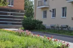 Благоустройство. Цветочные посадки в июле