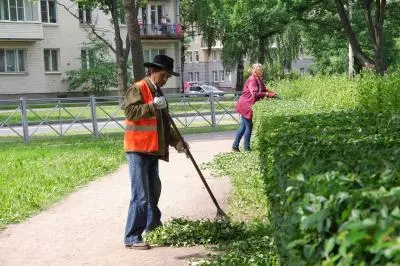 Уход за цветами и кустами