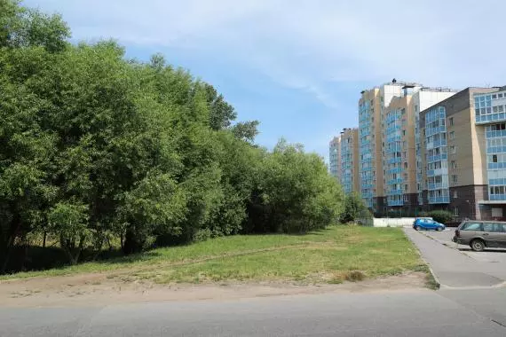 Благоустройство зелёной зоны вдоль реки Ижорки
