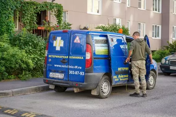 Отлов собак на Львовской