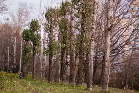 Поросоль на Гоголя,12