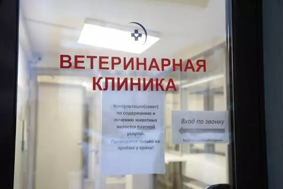 Есть в Стрельне ветклиника Веры Морозовой