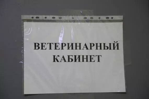Есть в Стрельне ветеринарный кабинет на Фронтовой