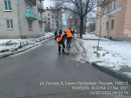 Дневник уборки Стрельны