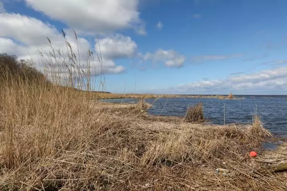 На побережье в Стрельне