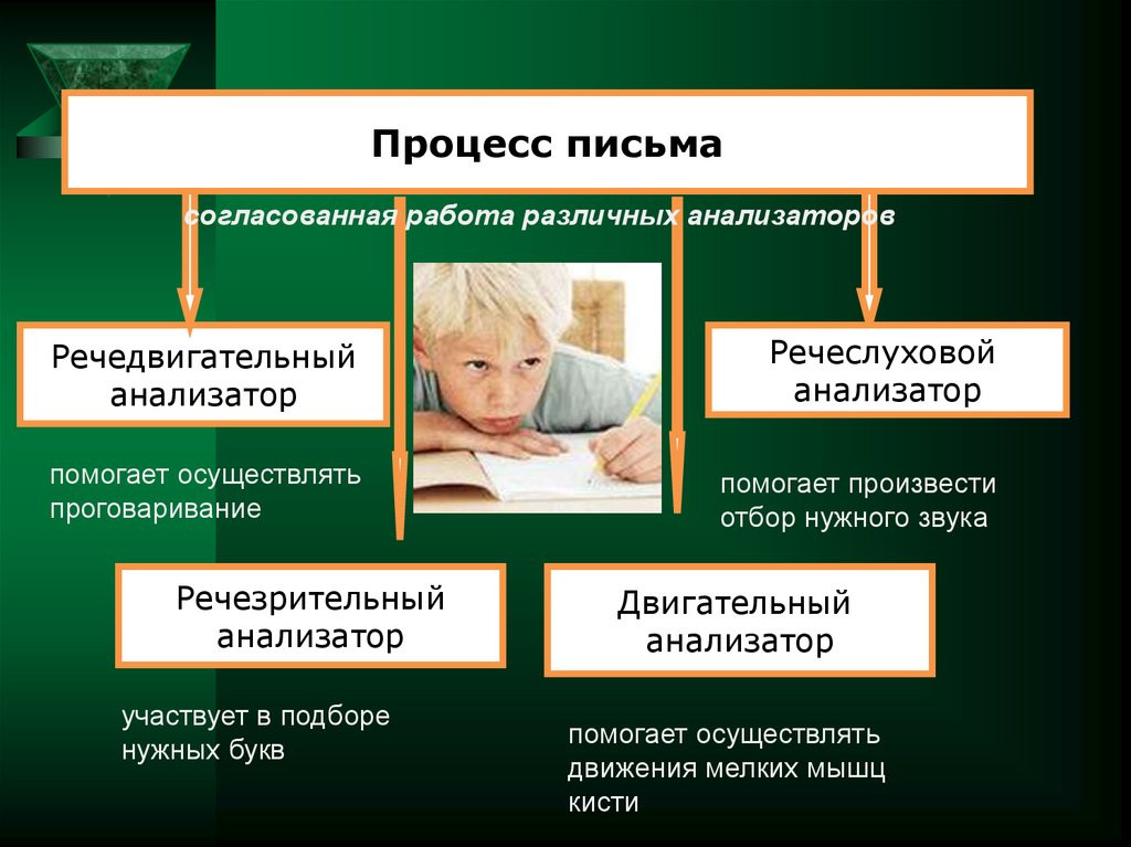 Логопедическая программа по коррекции акустической дисграфии у детей с ЗПР.