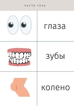Части тела (Body parts)