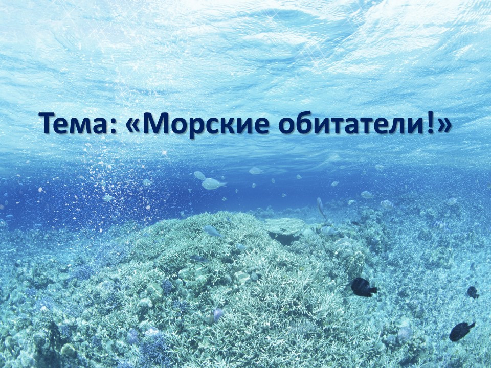 Презентация и сценарий к виртуальной экскурсии по теме: "Морские обитатели"