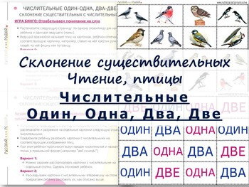Числительные ОДИН ОДНА ДВА ДВЕ. Склонение сущ. Чтение. Птицы. Русский - Russian.