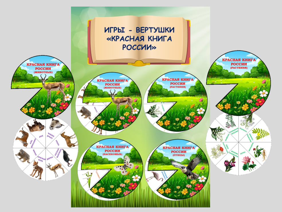Игры - вертушки «Красная книга России».