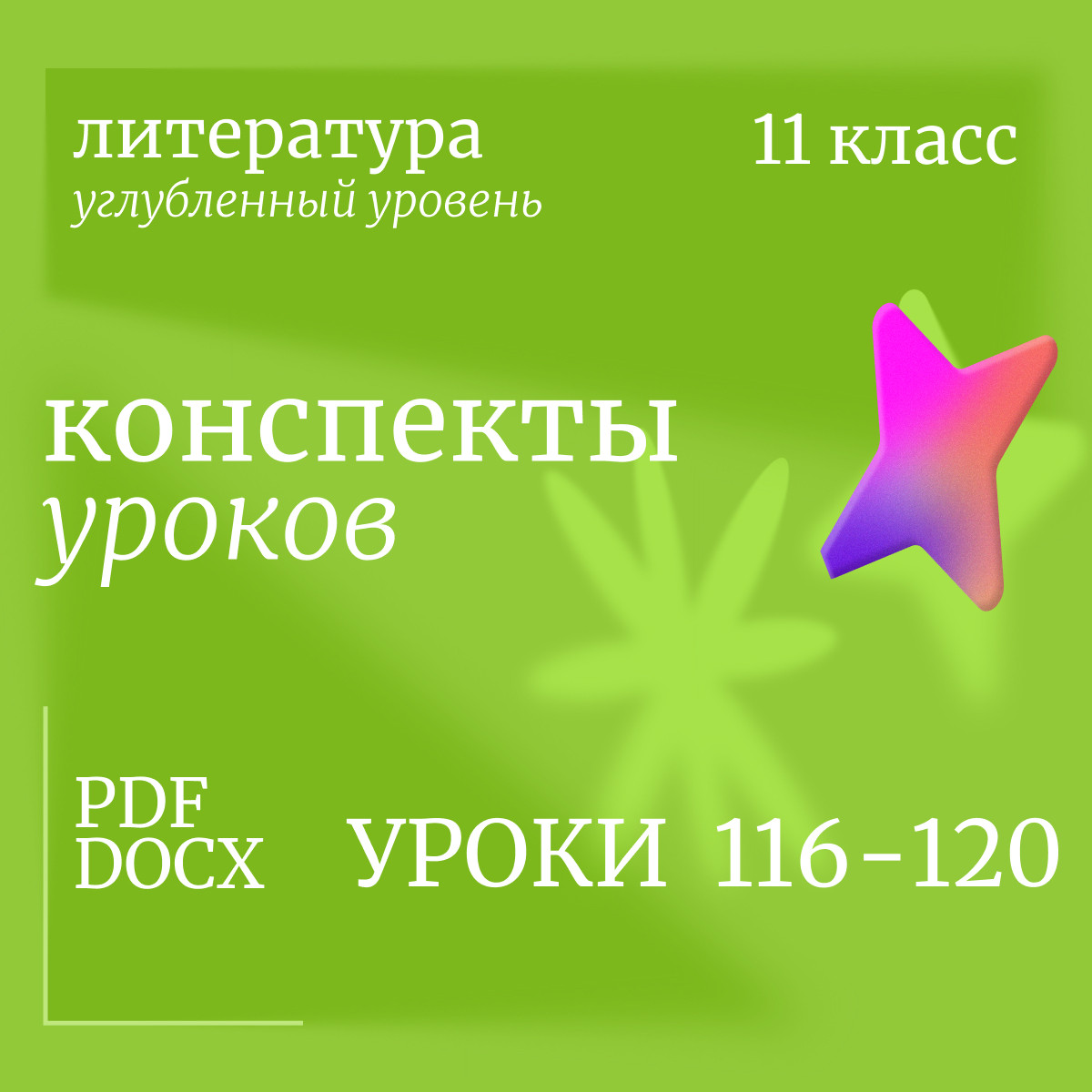 Литература 11 класс (углубленный уровень). Конспекты уроков 116-120