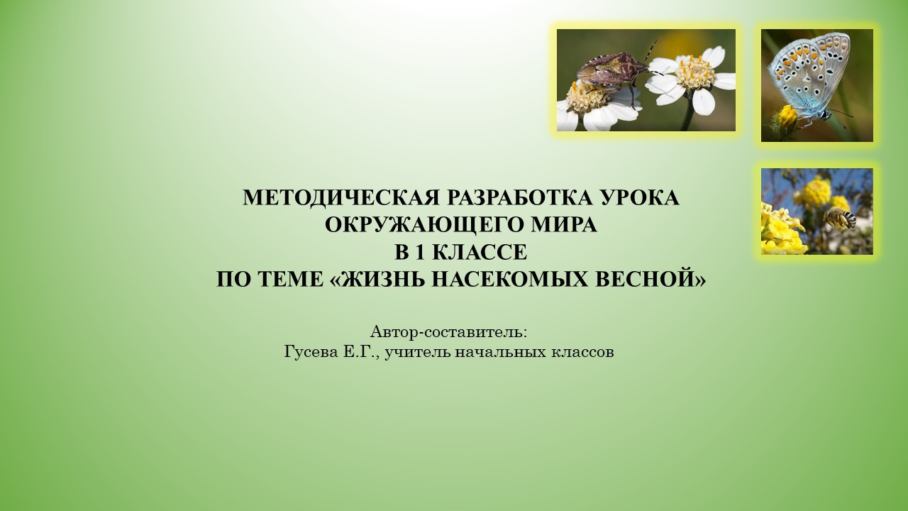Методическая разработка учебного занятия "Жизнь насекомых весной". 1 класс.
