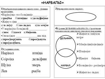 БОЛЬШЕ, ЧЕМ ЧТЕНИЕ - "Нарвалы"