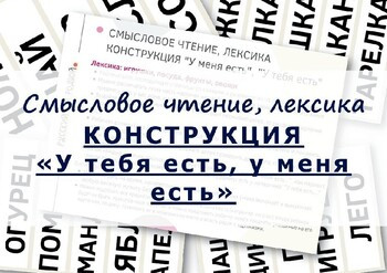 Игра. Чтение. Лексика. Конструкция “У тебя есть/У меня есть”. Русский - Russian