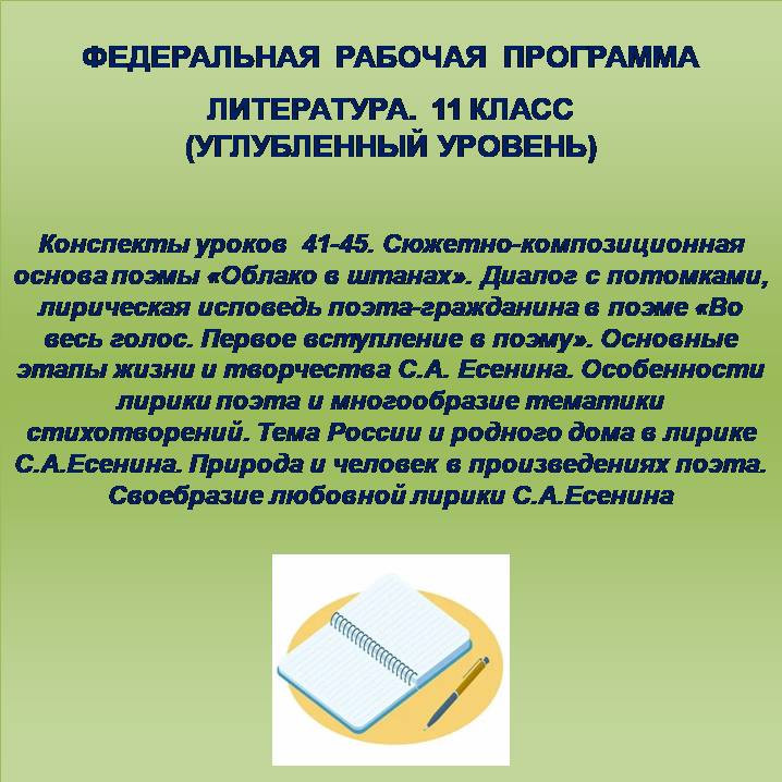 Литература 11 класс (углубленный уровень). Конспекты уроков 41-45