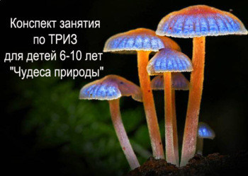 Конспект занятия по ТРИЗ для детей 6-10 лет по теме "Чудеса природы"