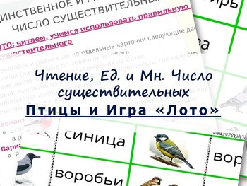 Игра Лото.Чтение. Ед и Мн число сущетвительных. Тема "Птицы". Русский - Russian.