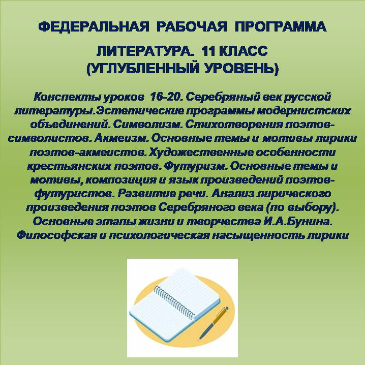 Литература 11 класс (углубленный уровень). Конспекты уроков 16-20