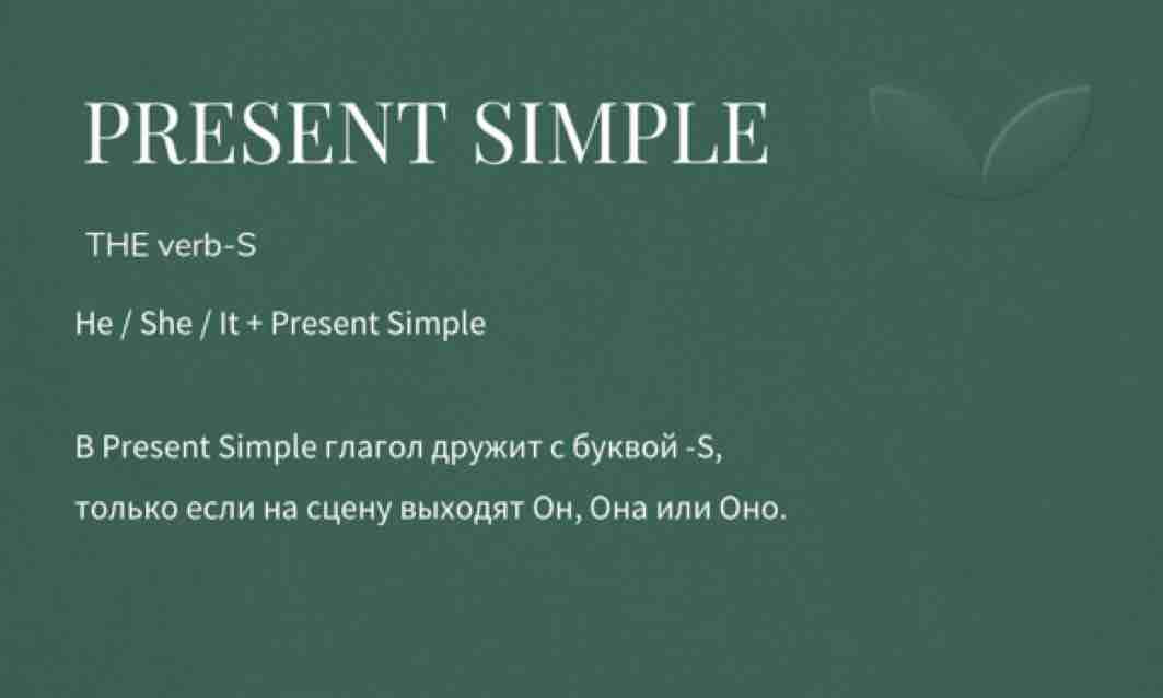 Present Simple Tense: Комплект «Теория + Практика» для 5–7 классов