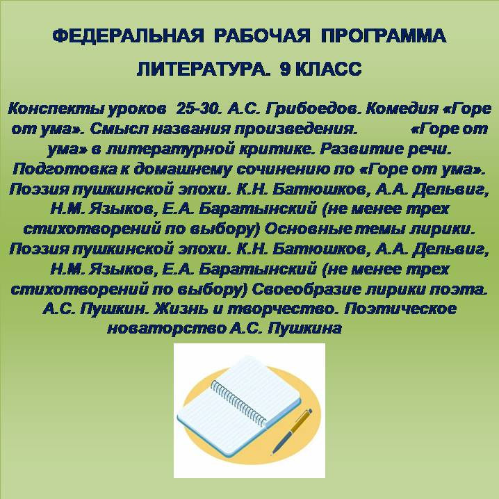 Литература 9 класс. Конспекты уроков 25-30