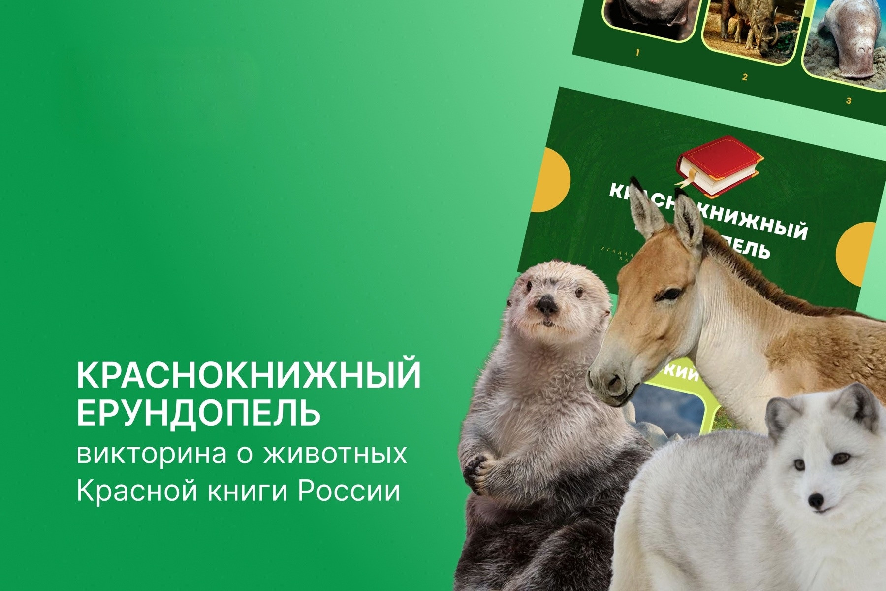 🐯 Викторина о животных Красной книги России «Краснокнижный ерундопель» ко Дню национальных парков и