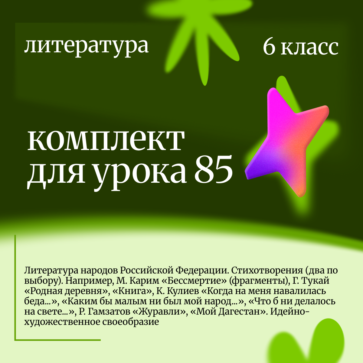 Литература 6 класс. Урок 85. Литература народов Российской Федерации. Стихотворения (два по выбору)