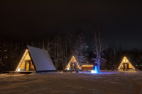 Коттедж a-frame на участке 20 соток 42 м² 1 этаж