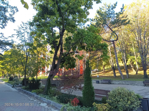 Четырехместный Апартаменты Семейные на 3 этаже 19 м²