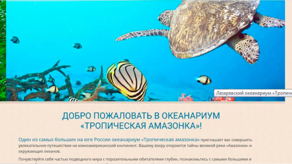 Создадим сайт и запустим рекламу за копейки и % от продаж (Акция)