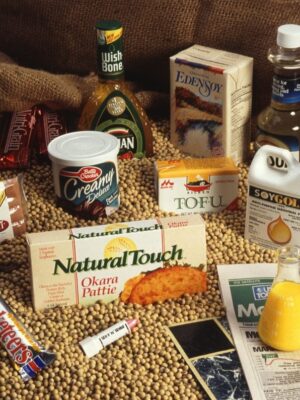 Зарабатывайте с нашей партнерской программой в категории Продукты питания Зарабатывайте с нашей партнерской программой в категории Продукты питания