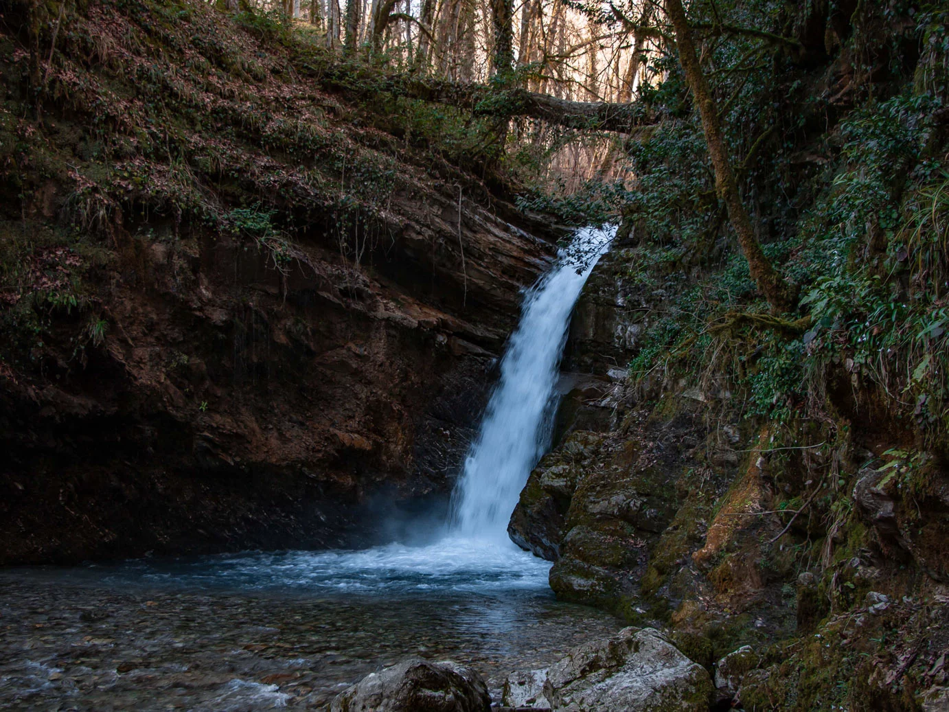 IMG_2270