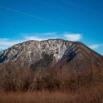 IMG_2272