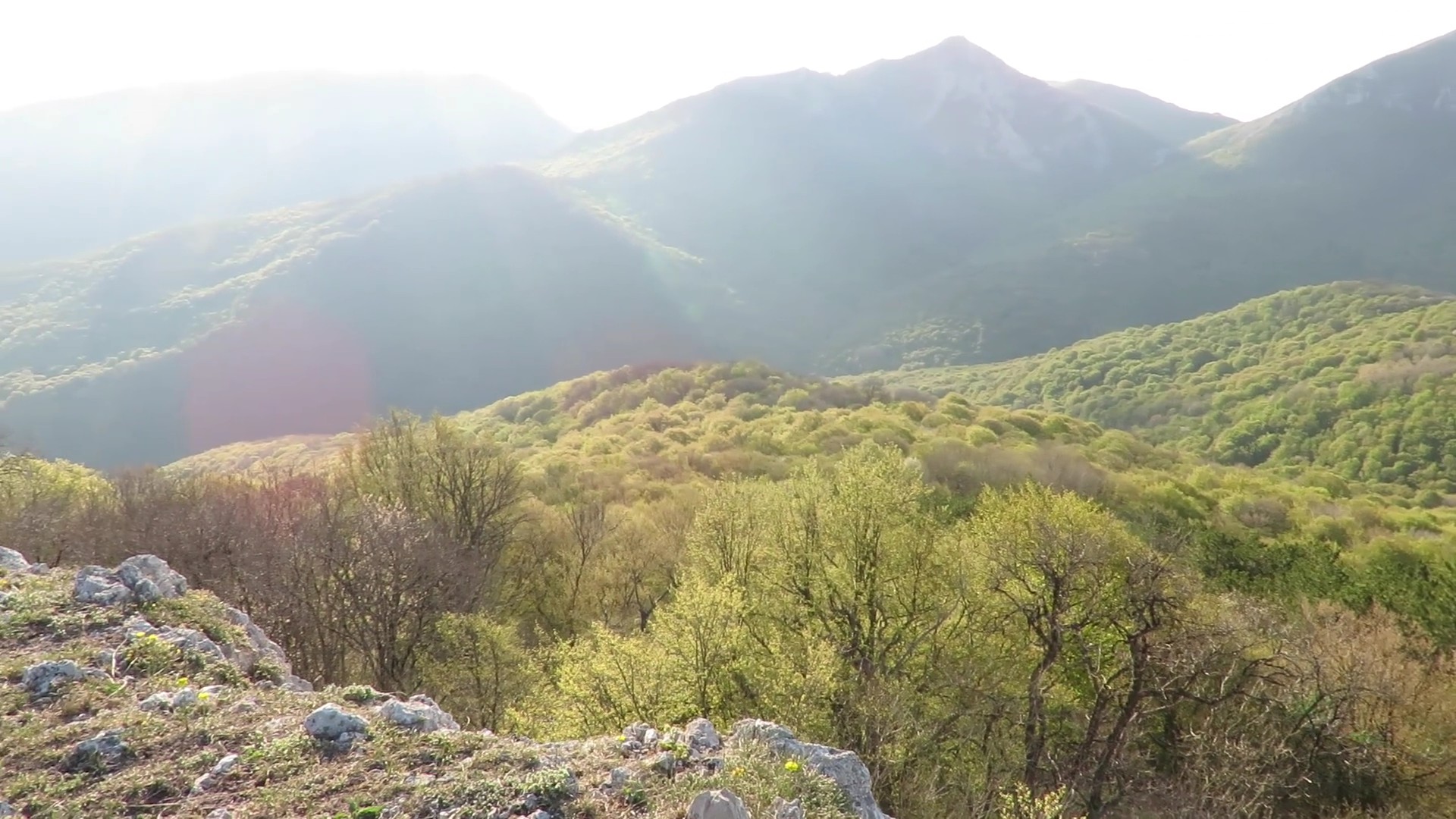 loshadi-dlya-turizma1