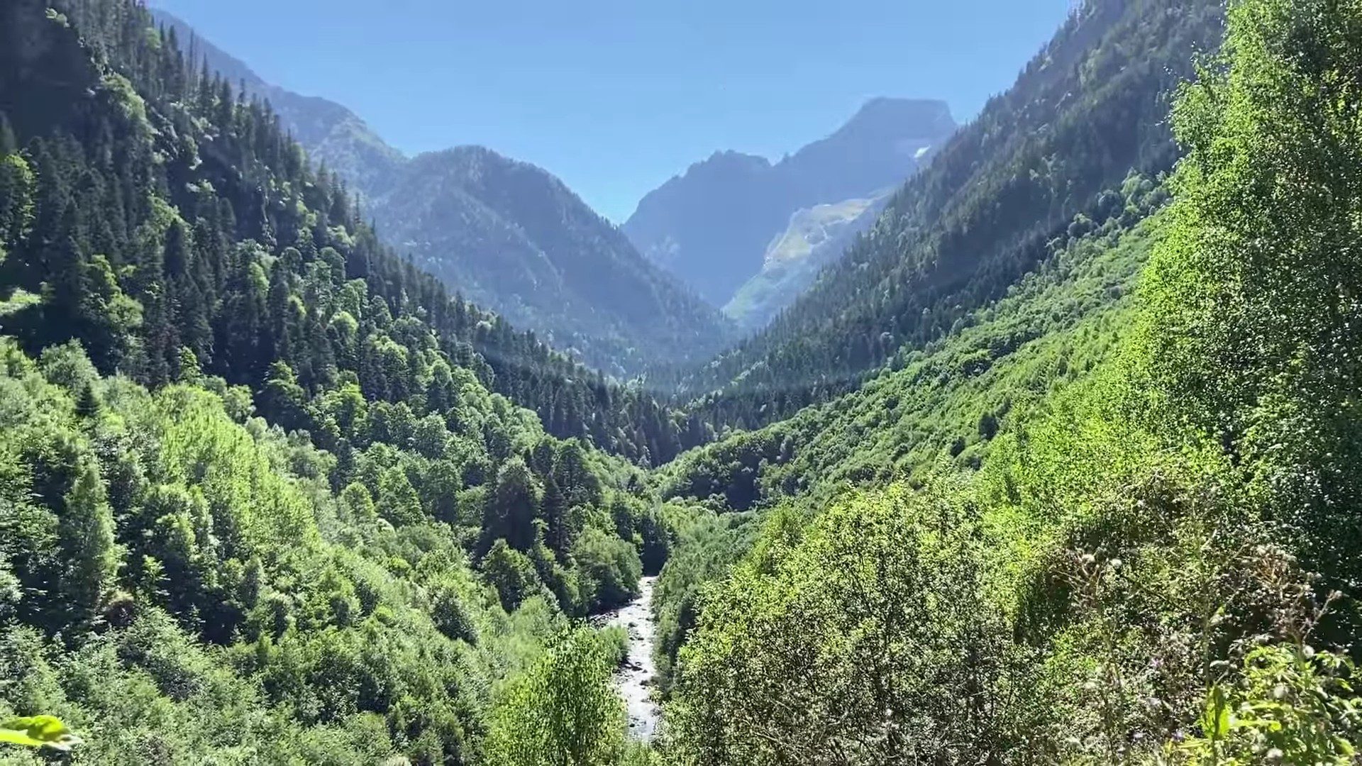 loshadi-dlya-turizma8