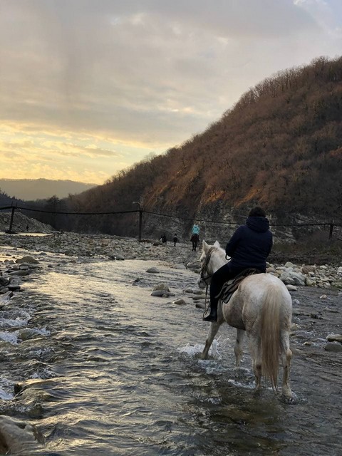 Конный клуб