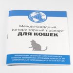 Поездка на Питбайке или мотоцикле Эндуро с сопровождением. 2 часа Медиум с элементами Хард
