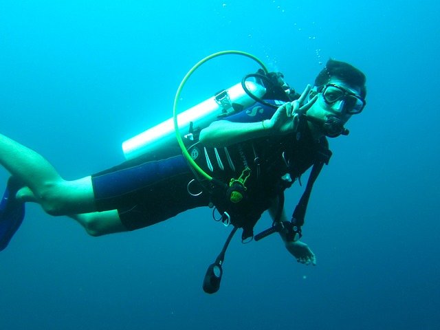 scuba-diver-261577_640 Дайвинг в Ейске