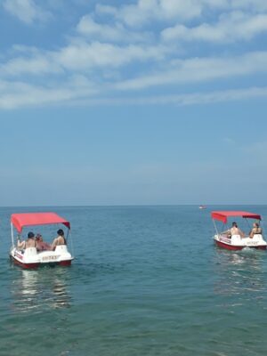 Прогулки на катамаране в море Прогулки на катамаране в море