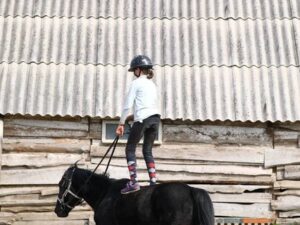 Прогулки на лошадях в горах