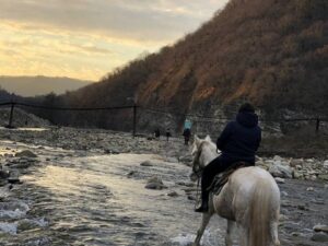 Прогулки на лошадях в горах