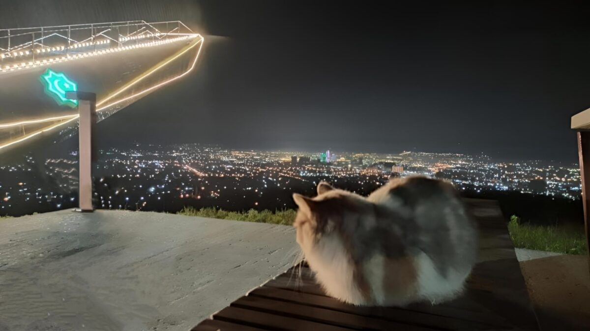 Из Дербента — в Чечню